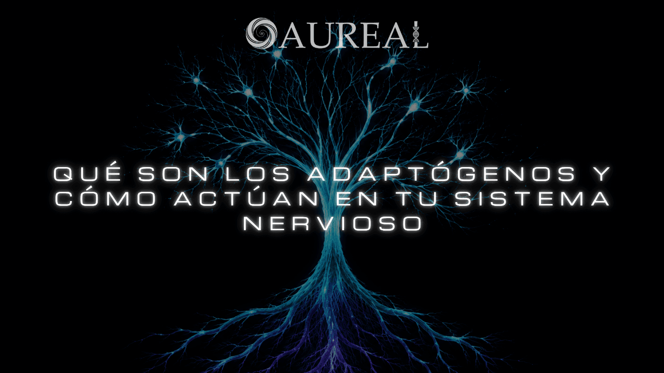 Qué son los adaptógenos y cómo actúan en tu sistema nervioso