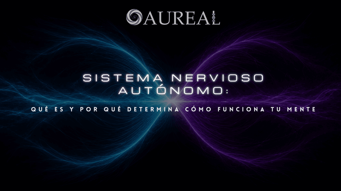 Sistema nervioso autónomo: qué es y por qué determina cómo funciona tu mente